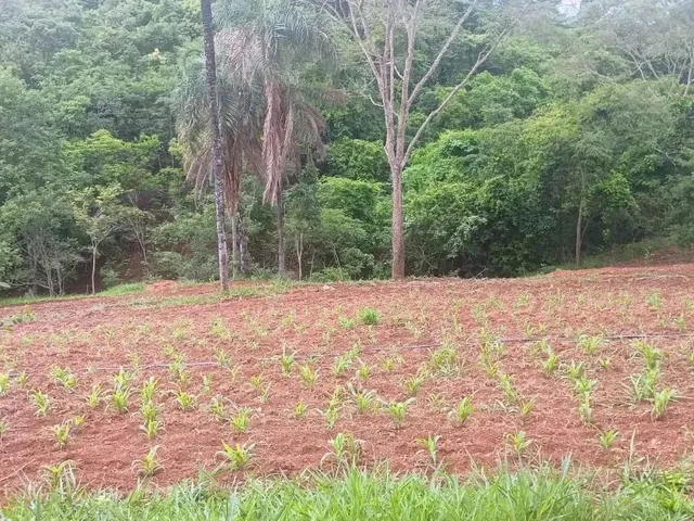 Imagem 4: Chácara no Monzondo Planaltina-Go com 17 Hectares