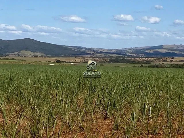 Imagem: Fazenda À Venda no Bairro Centro - Goianésia/Go
