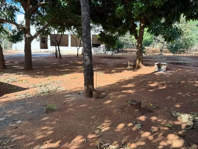 Imagem 8: Vendo Excelente Chácara