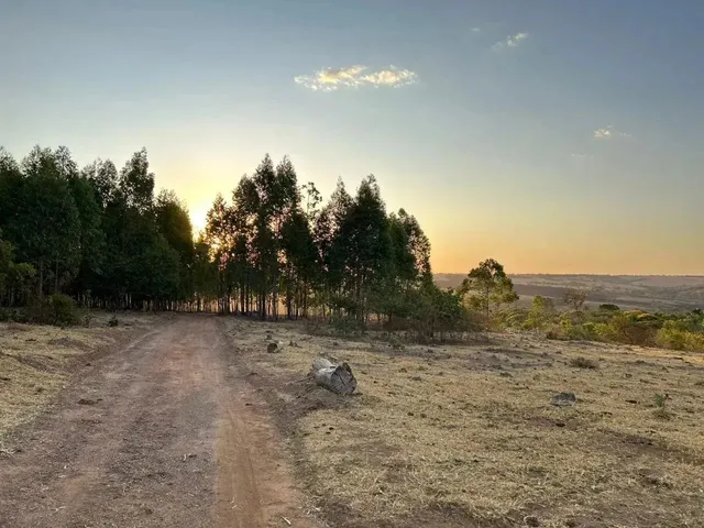 Imagem: Vendo Fazenda Próximo a Pirenópolis