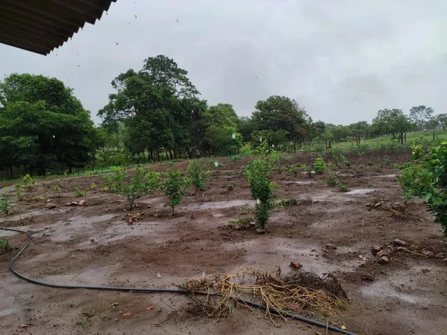 Imagem: Chácara 4.000M², À 8Km de Jaranápolis-Go