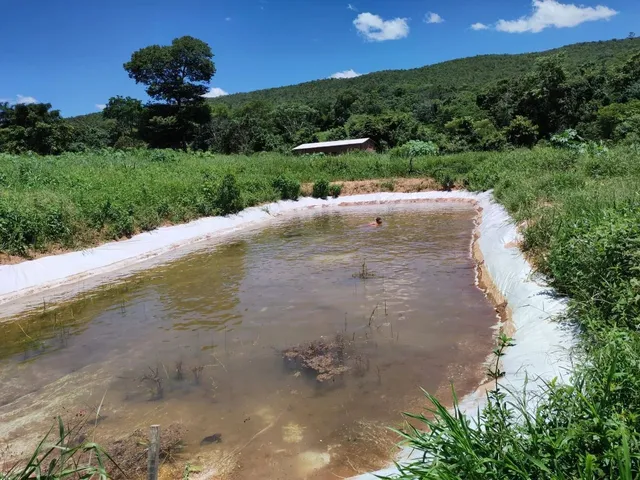 Imagem 11: Chácara 4.000M², À 8Km de Jaranápolis-Go, 55 Km de Anápolis