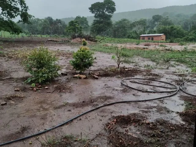 Imagem 2: Chácara 4.000M², À 8Km de Jaranápolis-Go, 55 Km de Anápolis