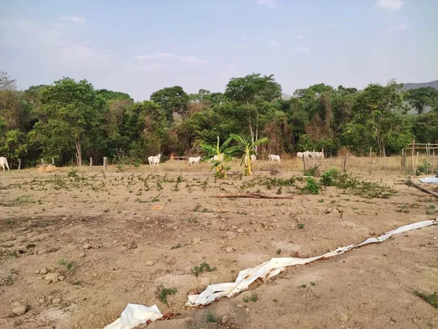Imagem 4: Chácara 4.000M², À 8Km de Jaranápolis-Go, 55 Km de Anápolis