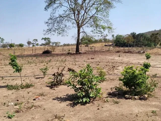 Imagem 8: Chácara 4.000M², À 8Km de Jaranápolis-Go, 55 Km de Anápolis
