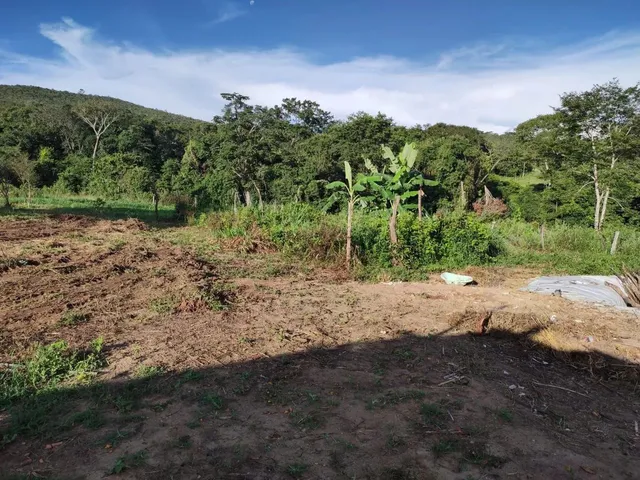 Imagem 9: Chácara 4.000M², À 8Km de Jaranápolis-Go, 55 Km de Anápolis