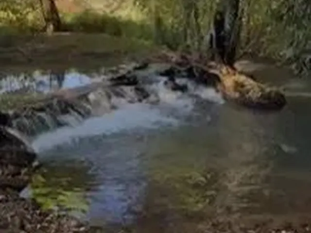Imagem: A chácara possui 4 Dormitórios, 3 Banheiros, 18.500m² de
