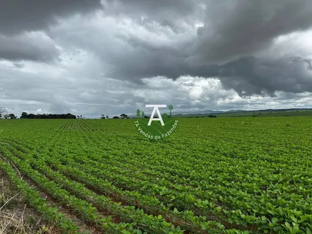 Imagem: Fazenda de 41,5 Alq na Soja