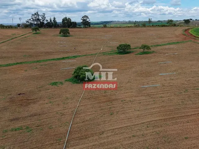Imagem: Chácara 9 Alqueires (43 Hectares) Leopoldo