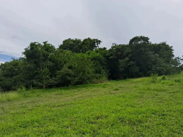Imagem: Chacara Varjão de Goias Chácara À Venda