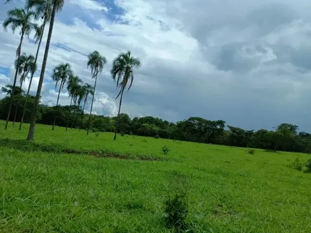 Imagem: A fazenda possui 350.000m² de Área e está localizado em