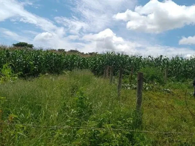 Imagem 2: Chácara de 5.000 M² - Muita Água, Terra Produtiva e Localização Privilegiada!