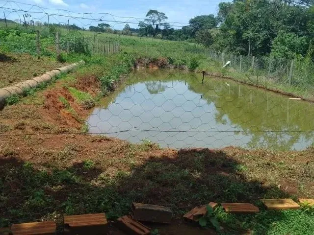Imagem 5: Chácara de 5.000 M² - Muita Água, Terra Produtiva e Localização Privilegiada!