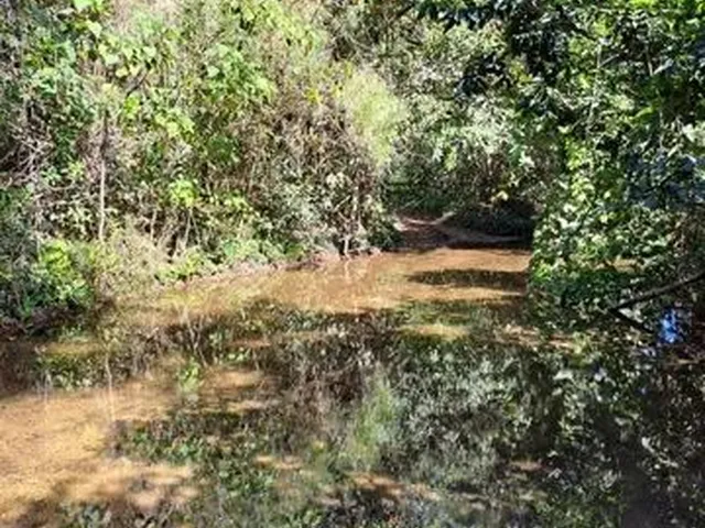 Imagem 4: Fazenda Goiás Área pra Reserva