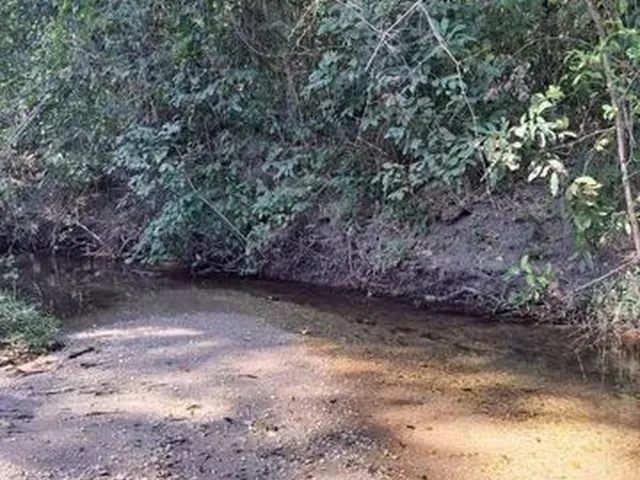 Imagem 3: Fazenda Goiás Área pra Reserva