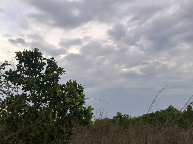 Imagem: Fazenda em Couto Nagalhães
