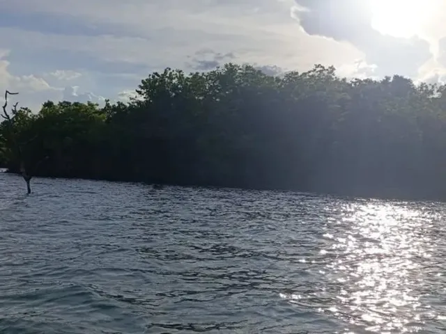 Imagem 7: Terreno À Venda - Morada do Sol - Minaçu (Go