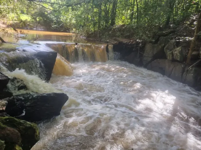 Imagem: Sítio 30 Alqueires em Pirenópolis Goiás
