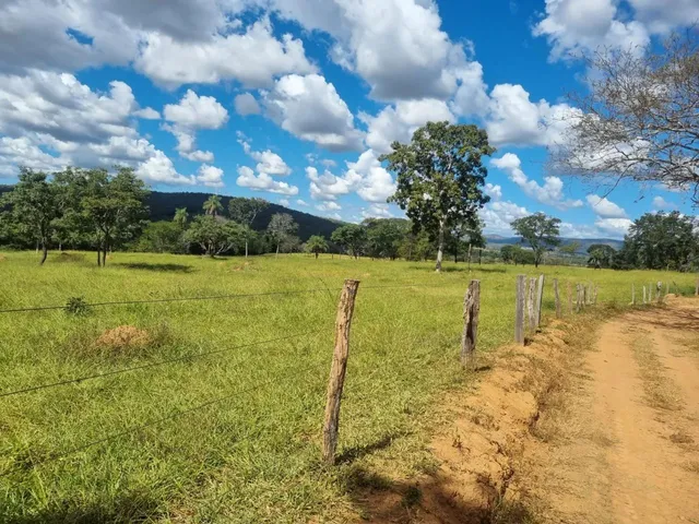 Imagem 10: Sítio 30 Alqueires em Pirenópolis Goiás