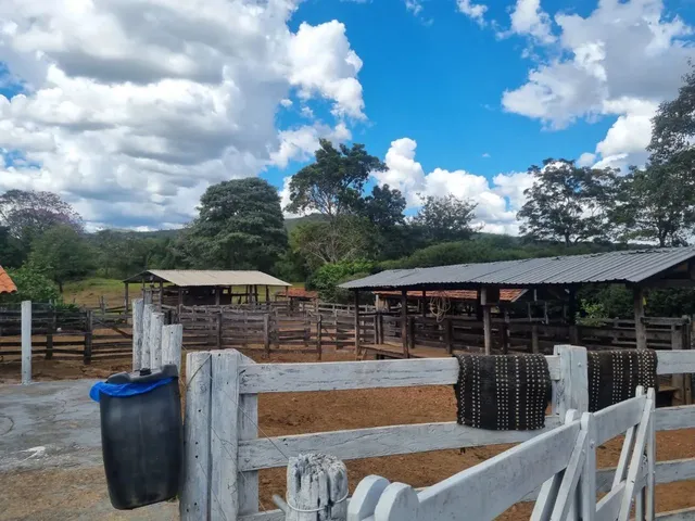 Imagem 11: Sítio 30 Alqueires em Pirenópolis Goiás