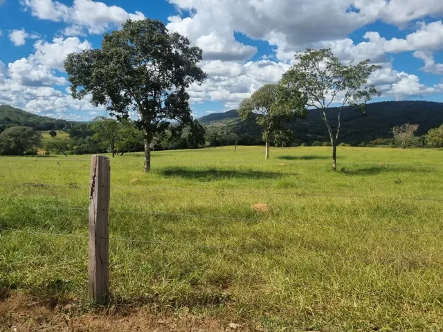 Imagem 12: Sítio 30 Alqueires em Pirenópolis Goiás