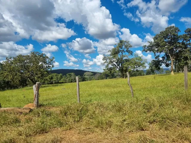 Imagem 16: Sítio 30 Alqueires em Pirenópolis Goiás