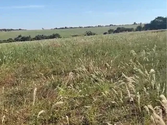 Imagem: A fazenda possui 2m² de Área e está localizado em
