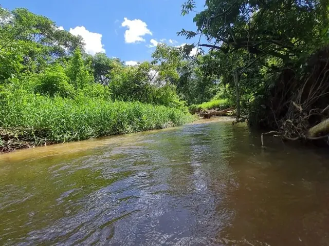 Imagem 4: Chácara 1 Alq e Meio Entre Caxambú e Pirenópolis