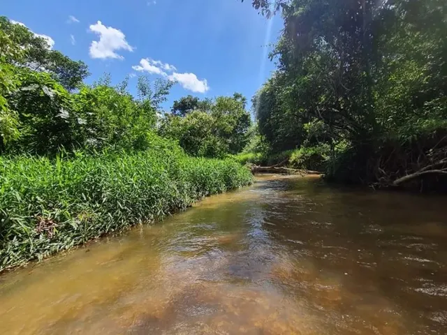 Imagem 15: Chácara 1 Alq e Meio Entre Caxambú e Pirenópolis