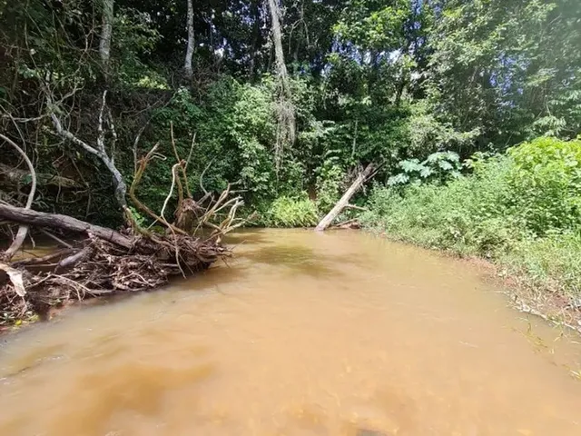 Imagem 14: Chácara 1 Alq e Meio Entre Caxambú e Pirenópolis
