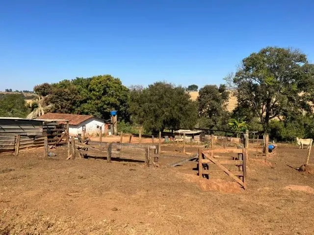 Imagem: Chácara em Nerópolis 3 Alq. Só R$ 1.500.000