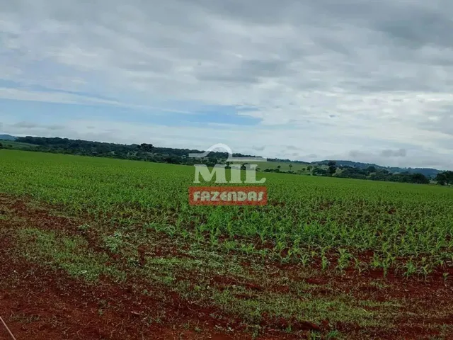 Imagem: Chácara 9,5 Alqueires (46 Hectatres) Trindade