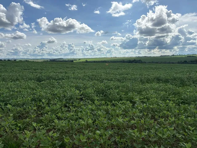 Imagem: Fazenda Itaberaí