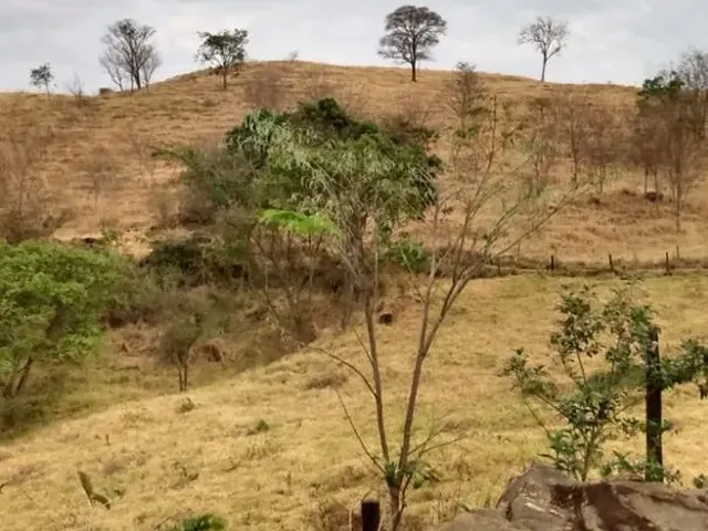 Imagem 1: Chácara 22Mil M2 Dentro de Anápolis Só R$ 1.500.000