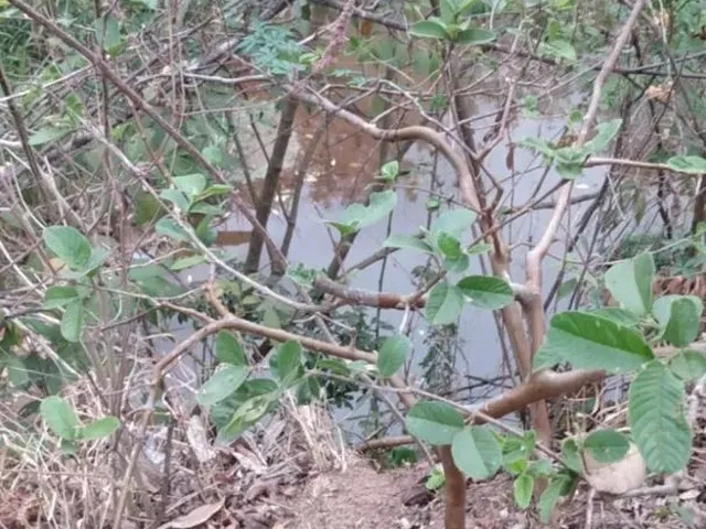 Imagem 2: Chácara 22Mil M2 Dentro de Anápolis Só R$ 1.500.000