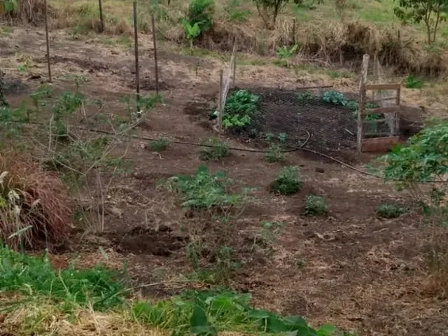 Imagem 3: Chácara 22Mil M2 Dentro de Anápolis Só R$ 1.500.000
