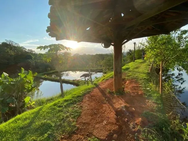 Imagem 6: Chácara em 5.750M2 em Bonfinópolis Só R$ 399 Mil