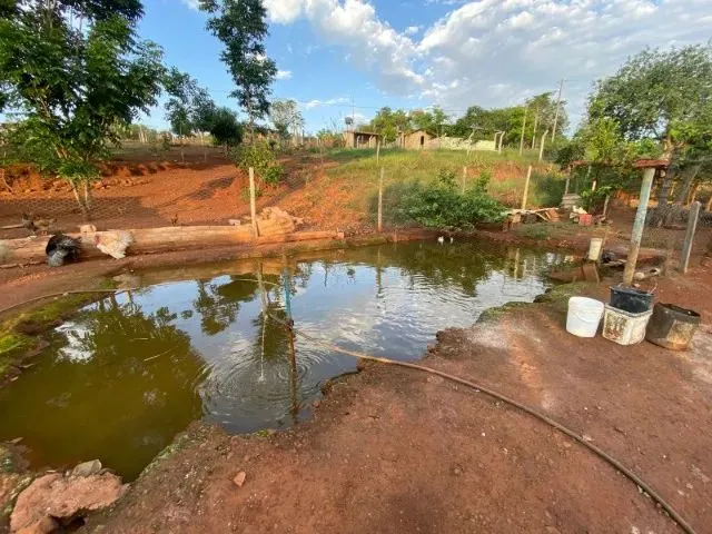 Imagem 12: Chácara em 5.750M2 em Bonfinópolis Só R$ 399 Mil