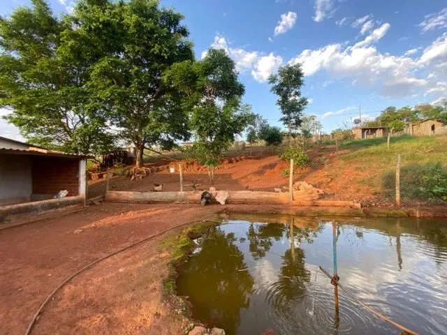 Imagem 10: Chácara em 5.750M2 em Bonfinópolis Só R$ 399 Mil