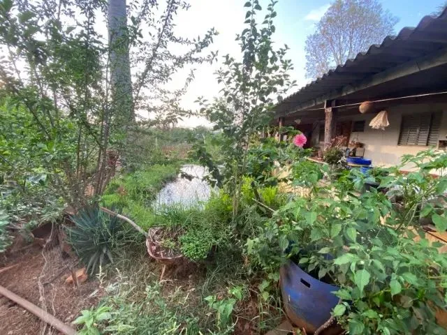 Imagem 16: Chácara em 5.750M2 em Bonfinópolis Só R$ 399 Mil