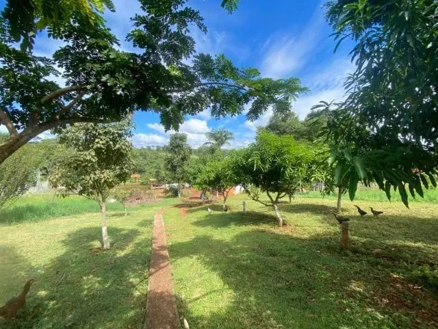 Imagem 15: Chácara em 5.750M2 em Bonfinópolis Só R$ 399 Mil