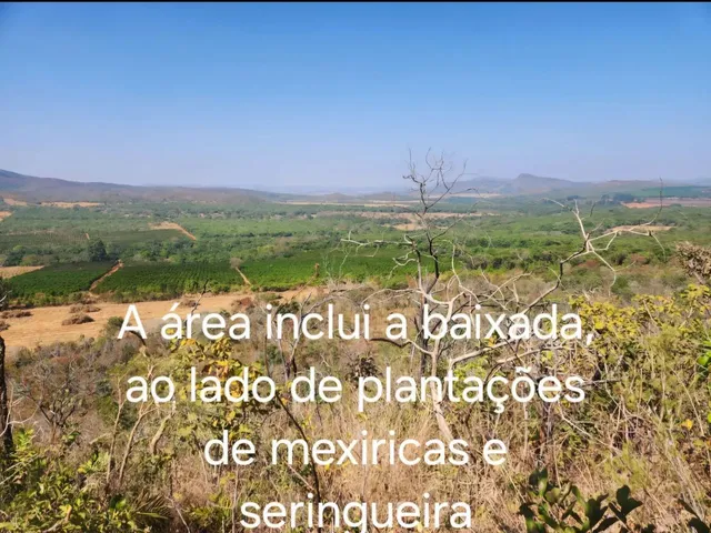 Imagem: Fazenda Ideal para Plantações