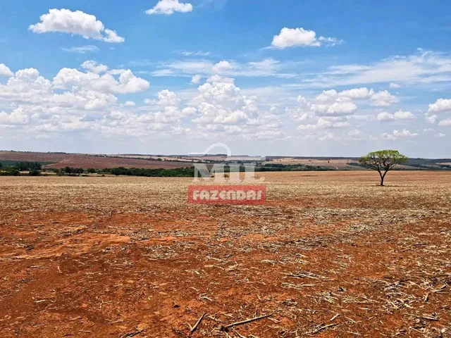Imagem: Fazenda 13 Alqueires (62 Hectares) Anápolis