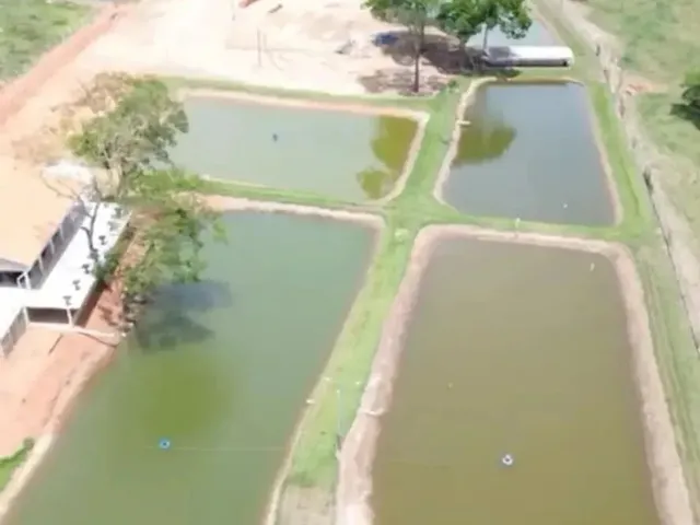 Imagem 1: Chácara a Venda em Heitorai - Goiás!!!