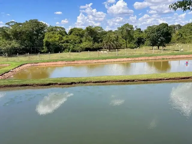 Imagem 7: Chácara a Venda em Heitorai - Goiás!!!