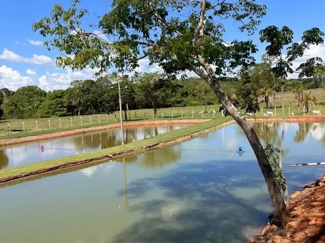 Imagem 8: Chácara a Venda em Heitorai - Goiás!!!