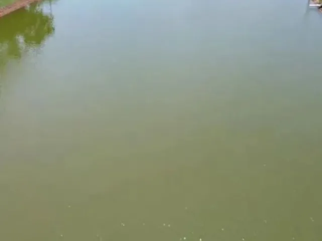 Imagem 4: Chácara a Venda em Heitorai - Goiás!!!