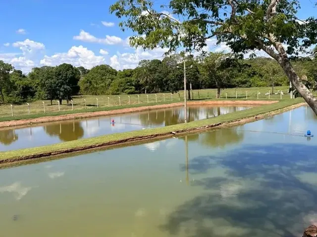Imagem 9: Chácara a Venda em Heitorai - Goiás!!!