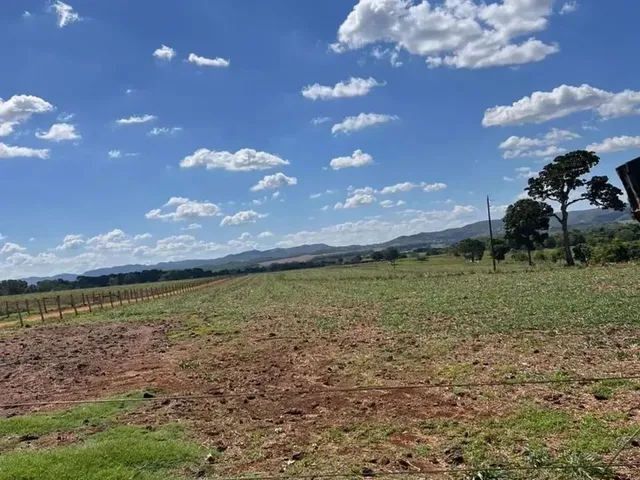 Imagem 6: Chácara a Venda em Heitorai - Goiás!!!