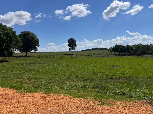 Imagem 3: Chácara a Venda em Heitorai - Goiás!!!